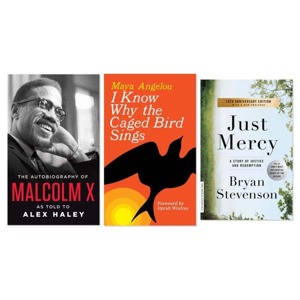 Civil Rights & Social Justice Voices 3-Book Complete Bundle Set